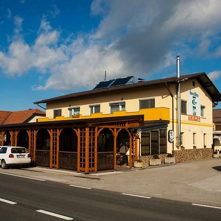 Guest House Celan Spodnja Hajdina Εξωτερικό φωτογραφία