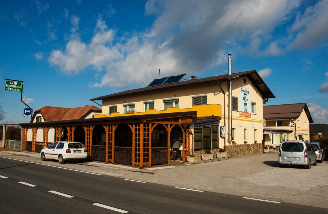 Guest House Celan Spodnja Hajdina Εξωτερικό φωτογραφία